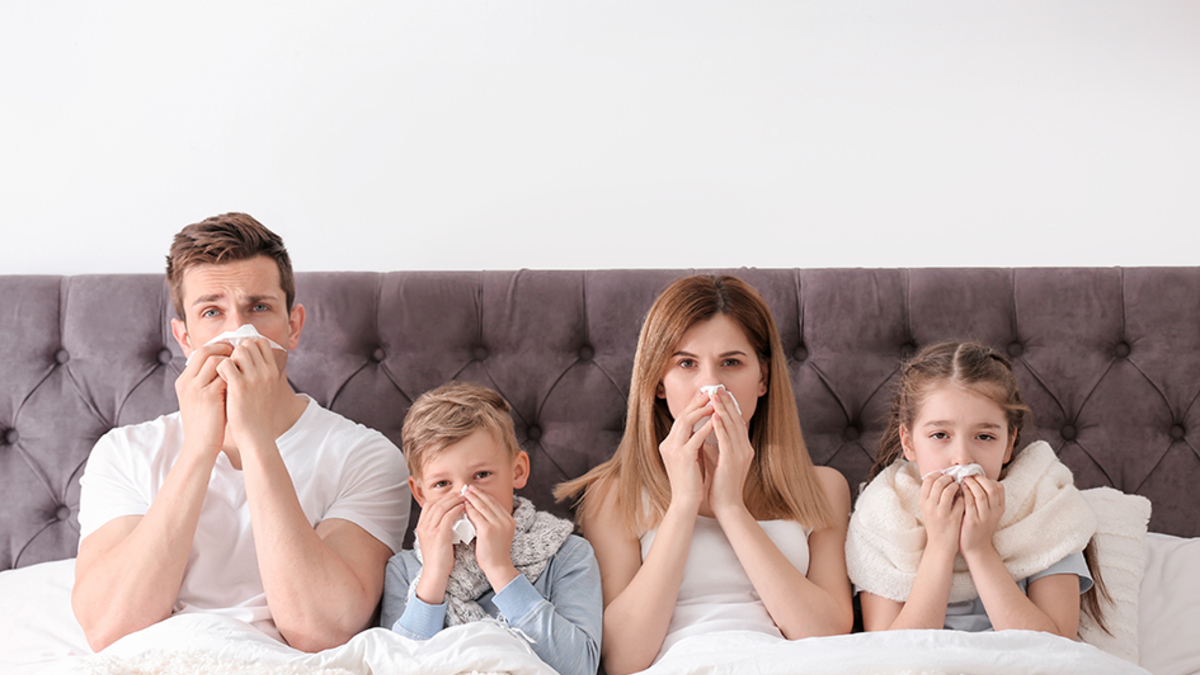 Статья: как распознать аллергию на пыль и можно ли её вылечить?