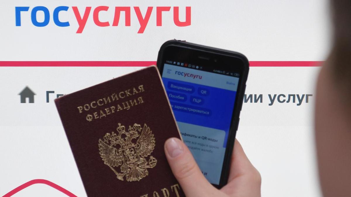 Поддержка старых версий «Госуслуг» на Android прекратится 27 декабря — РБК