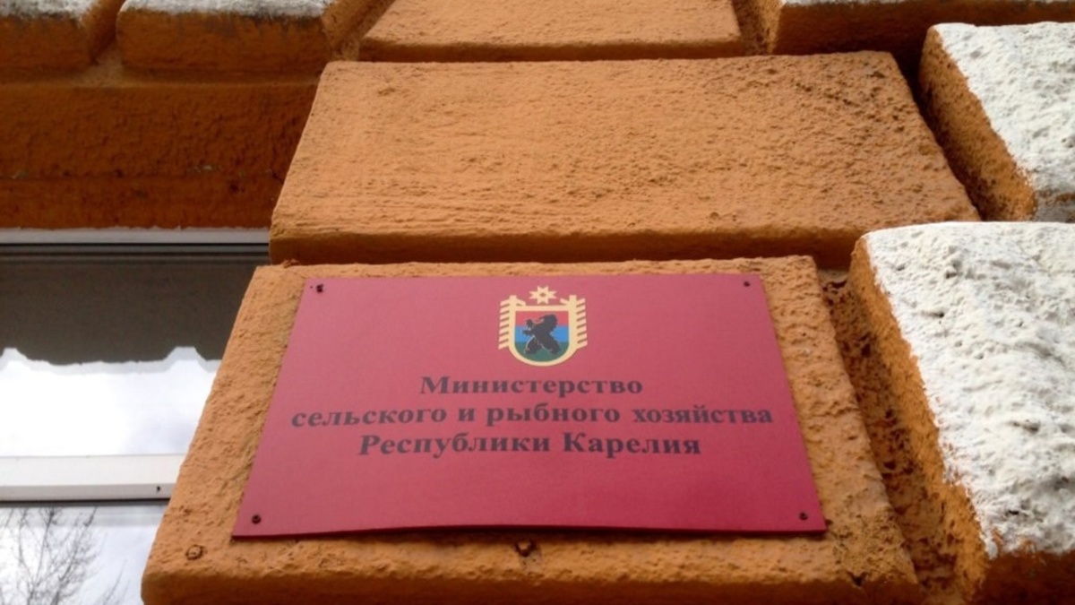 Фото: gov.karelia.ru