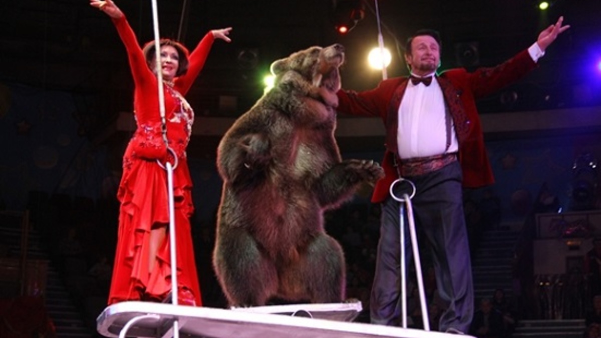 Фото: omskgazeta.ru