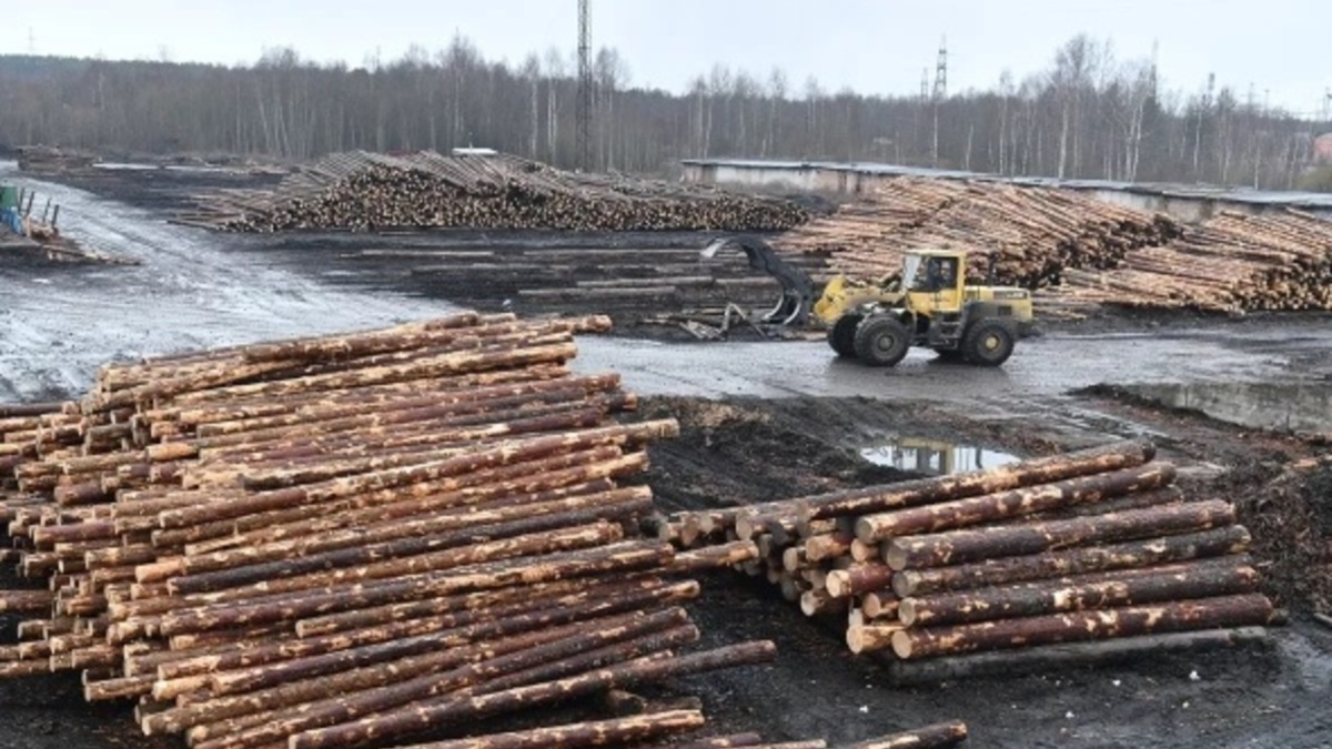 Фото: gov.karelia.ru