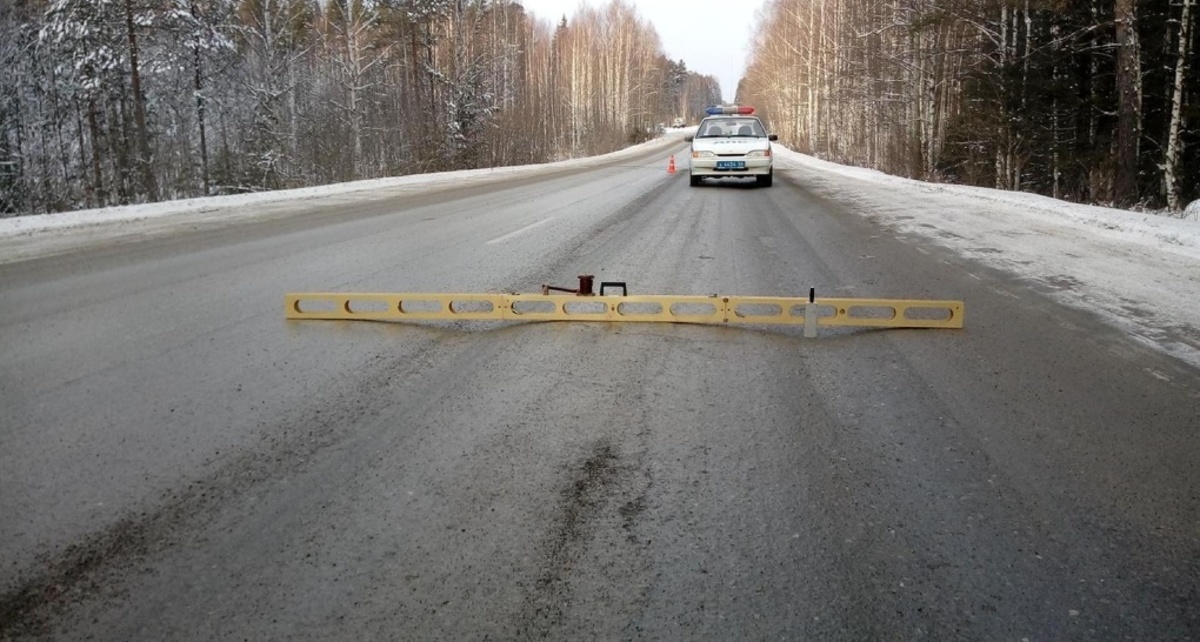 Фото: 66.RU