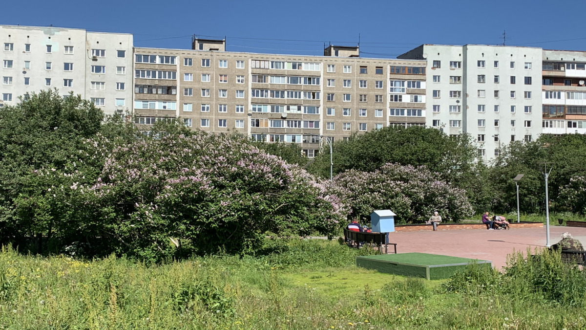 Фото: РБК Мурманск
