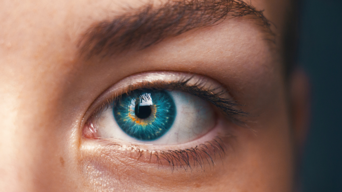 15 продуктов, которые помогут поддержать здоровье глаз