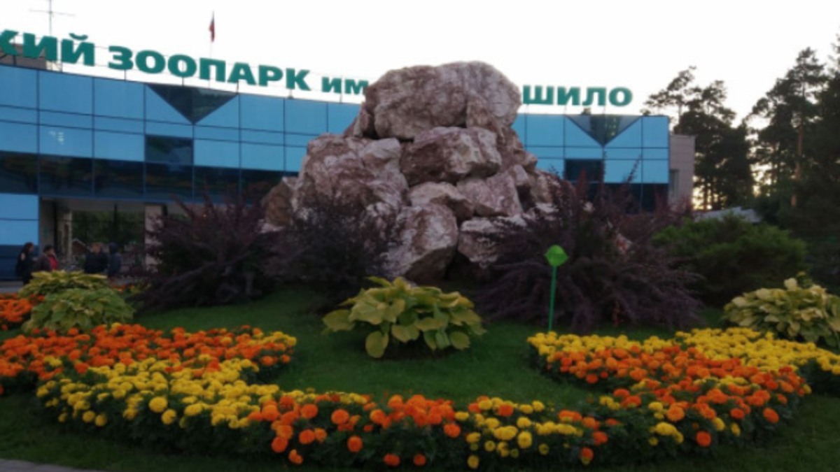 Фото: Алексей Коваленок / РБК Новосибирск