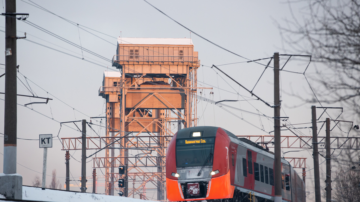 Фото: Александр Подгорчук