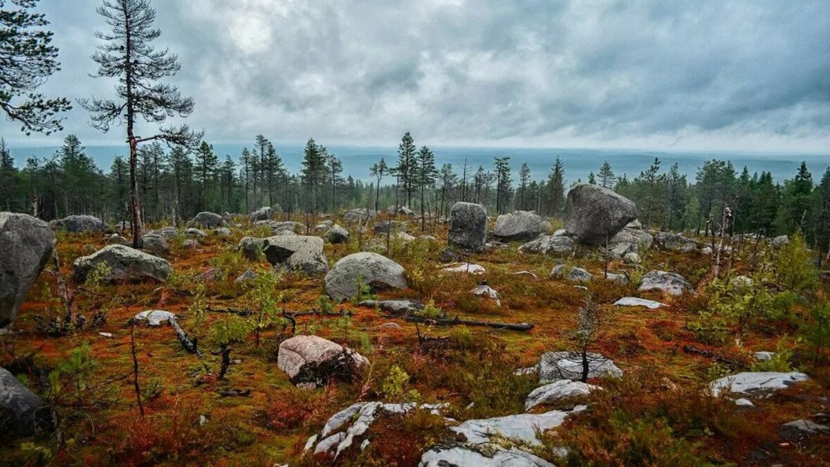 Фото: gov.karelia.ru