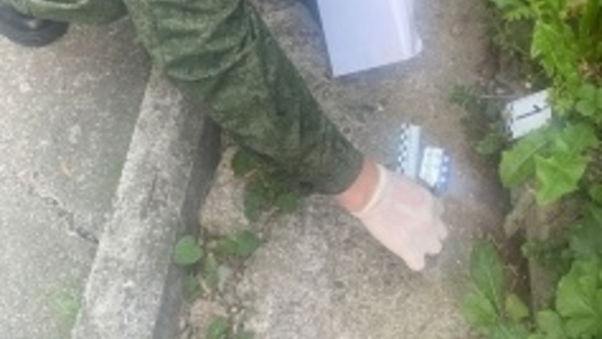 Фото: СУ СК РФ по Нижегородской области