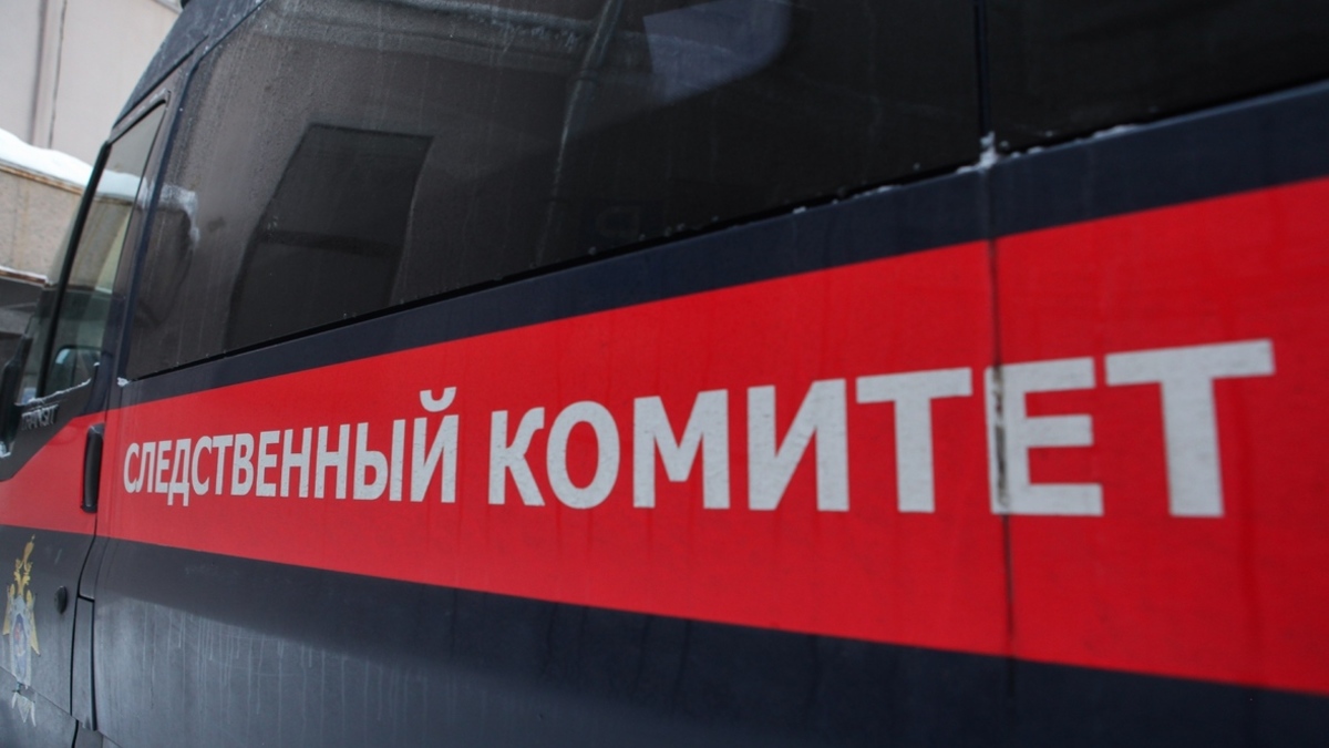 Фото: Пименов Роман/PhotoXPress.ru