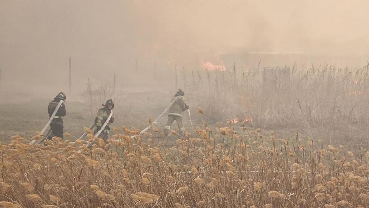 Фото: ГУ МЧС по Курганской области