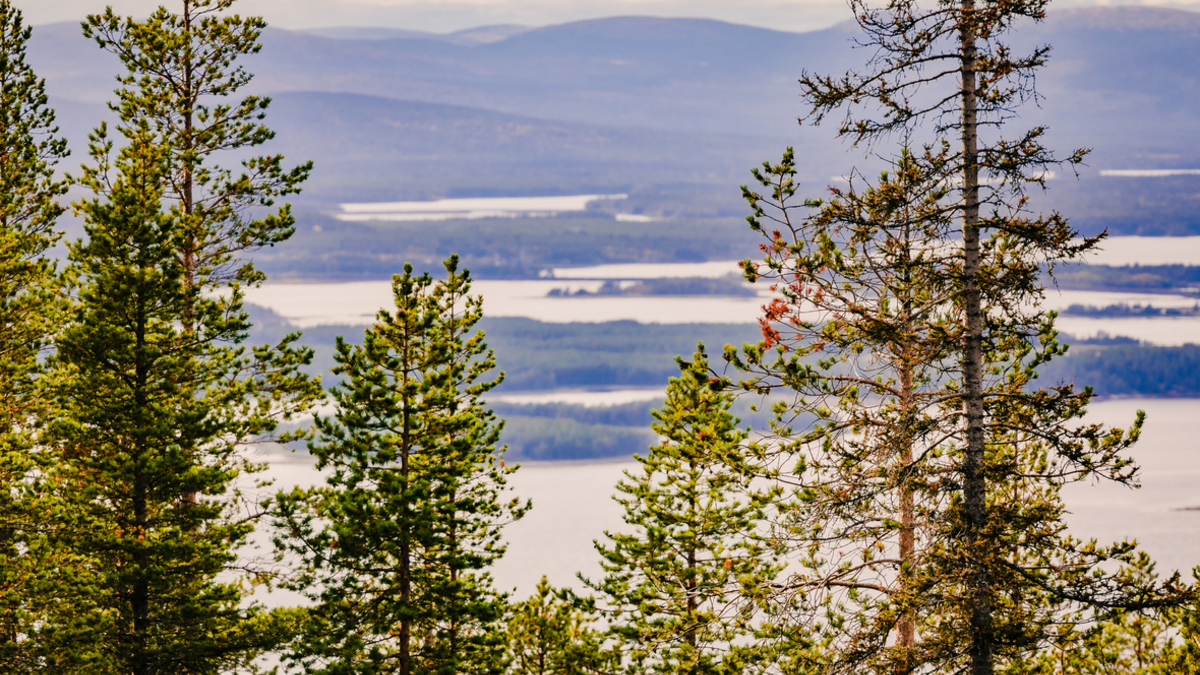 Фото: gov-murman.ru