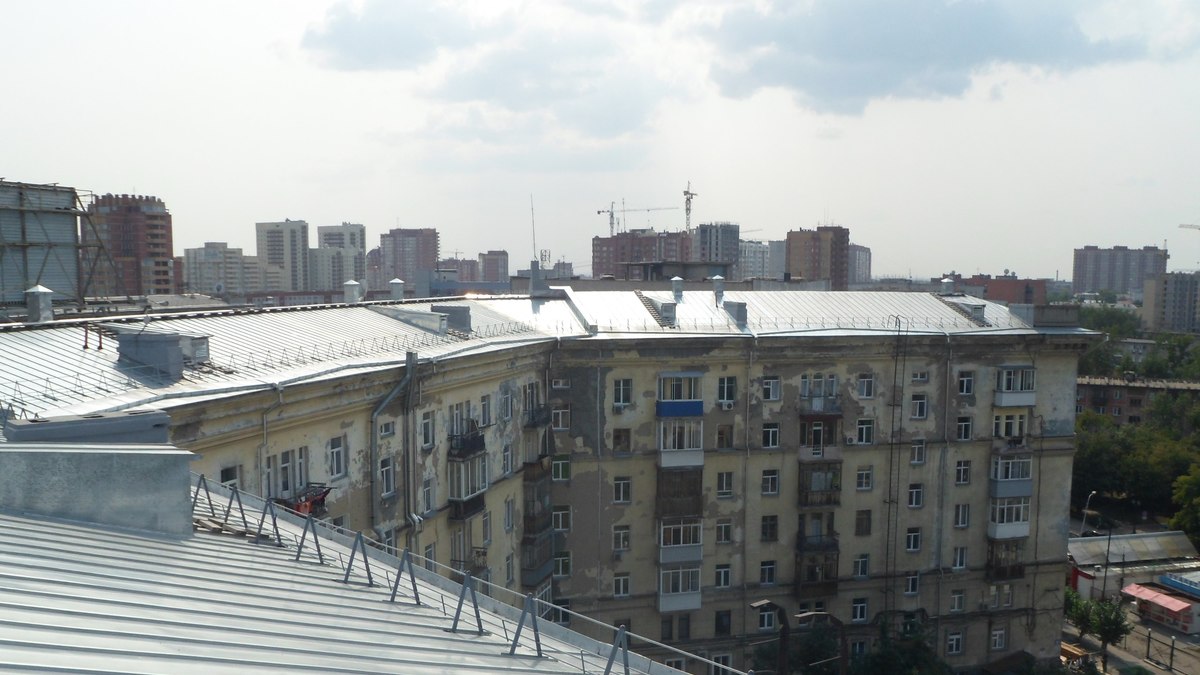 Фото: Наталья Денисова. РБК Новосибирск