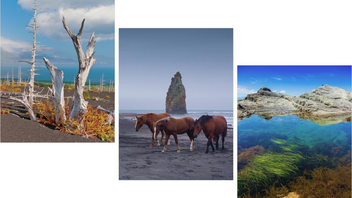 Фото: Belikova Oksana/Shutterstock/Fotodom, AntonSokolov/Shutterstock/Fotodom, Strannik_fox/Shutterstock/Fotodom