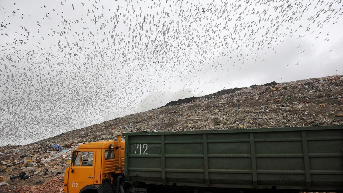 Глава мусорного оператора объяснил конфликт с депутатами-«экосексуалами» —  РБК