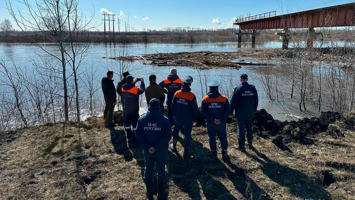 Уровень воды в реке Тобол в Курганской области превысил 7 м — РБК