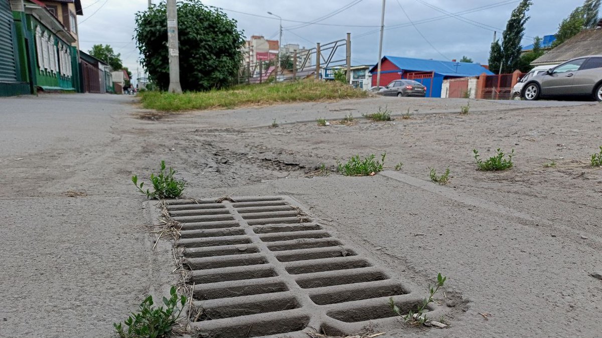 Фото: Алексей Коваленок / РБК Новосибирск