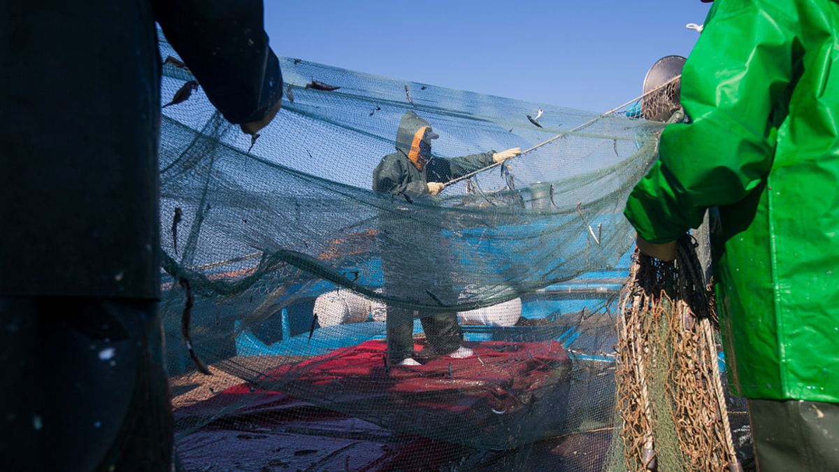 Фото: SeongJoon Cho / Bloomberg