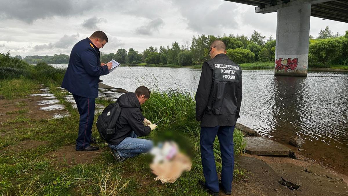 Многодетная мать утопила 10-месячную дочь в реке в Ярославле — РБК