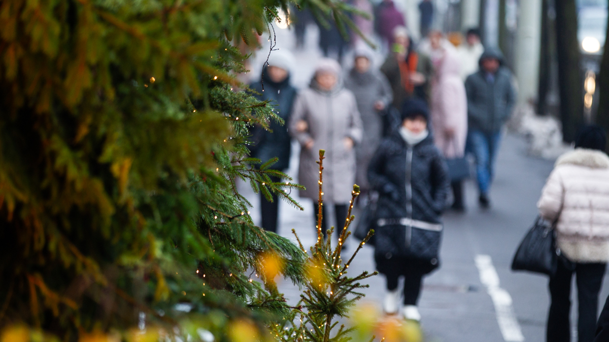 Фото: Александр Подгорчук