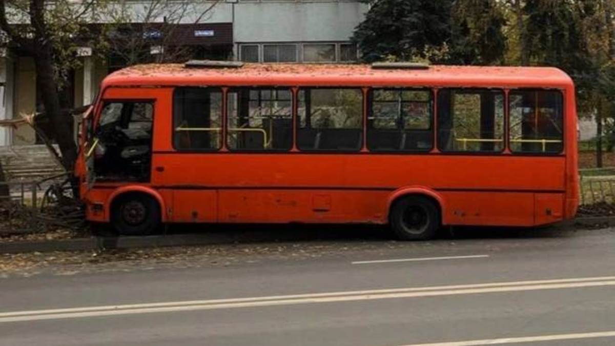 Фото:  Moynizhny 