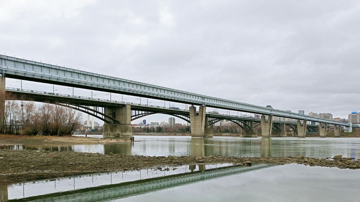 Фото: Алексей Коваленок / РБК Новосибирск