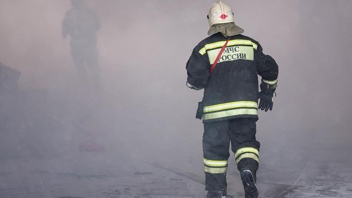 Фото: Алексей Белкин / NEWS.ru / Global Look Press