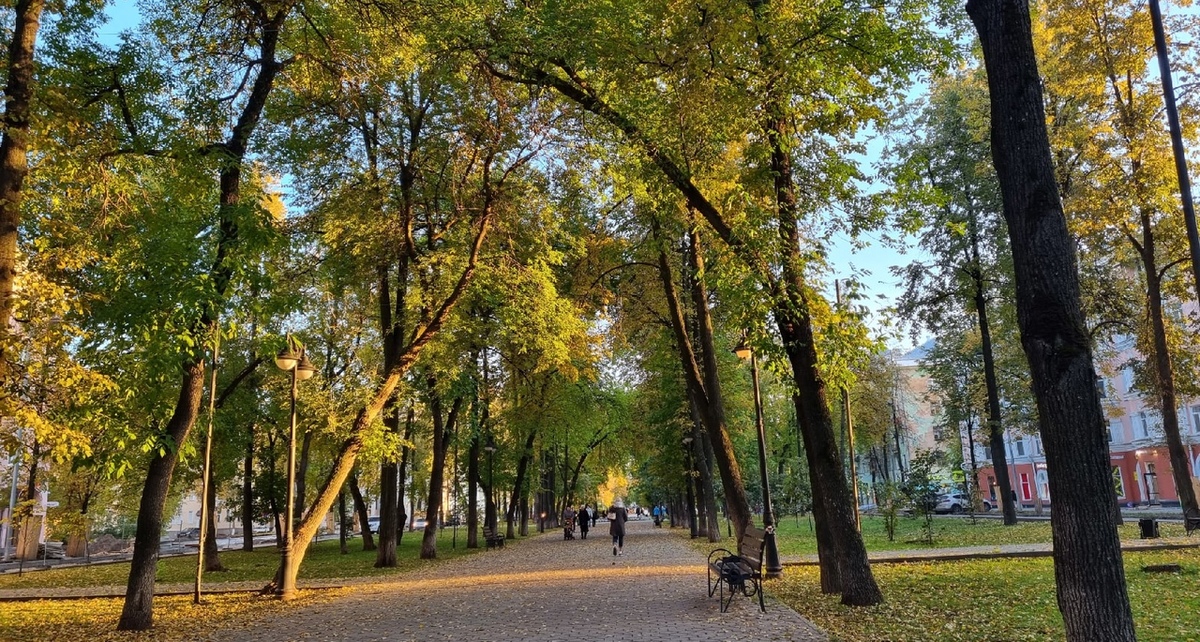 Фото: РБК Пермь