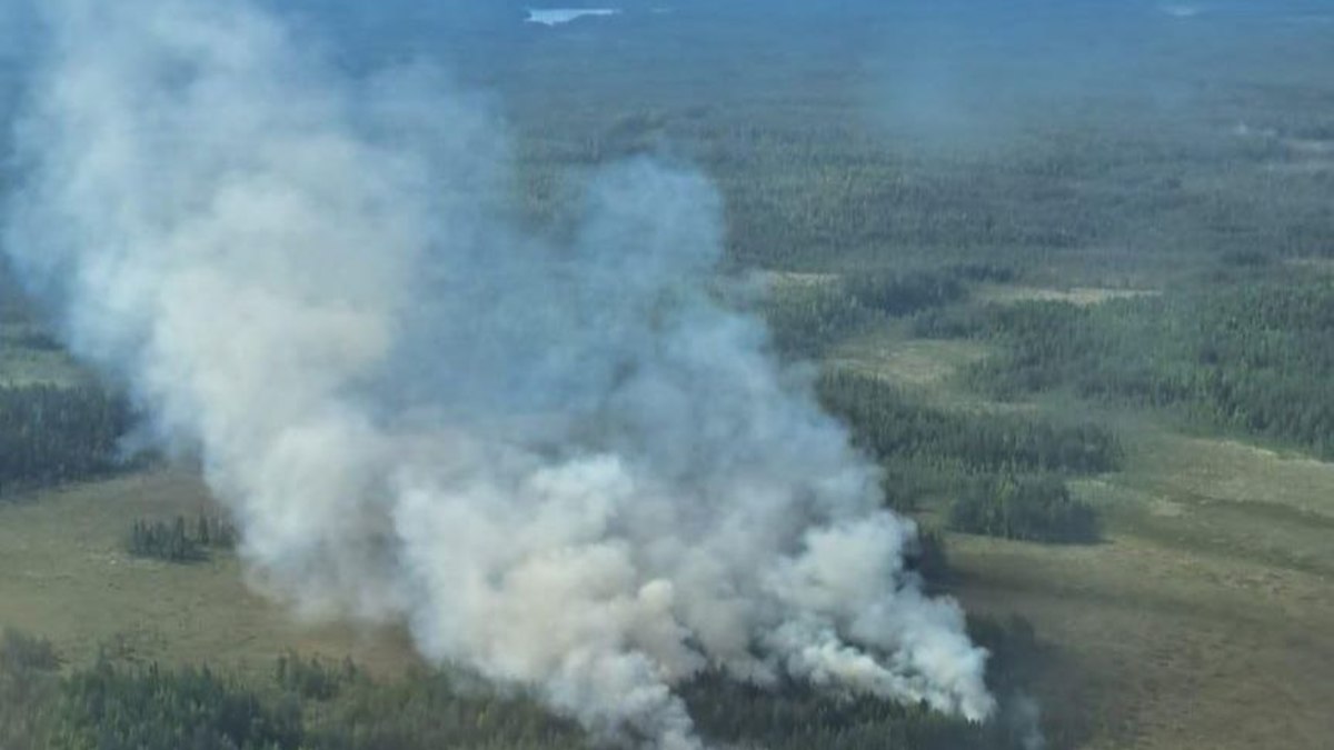 Фото: Министерство природных ресурсов и экологии РК / vk.com 
