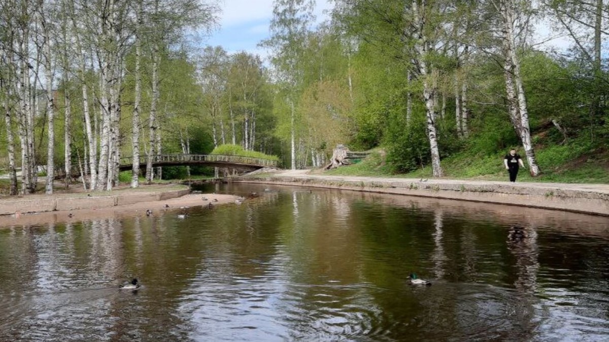 Фото: РБК Карелия