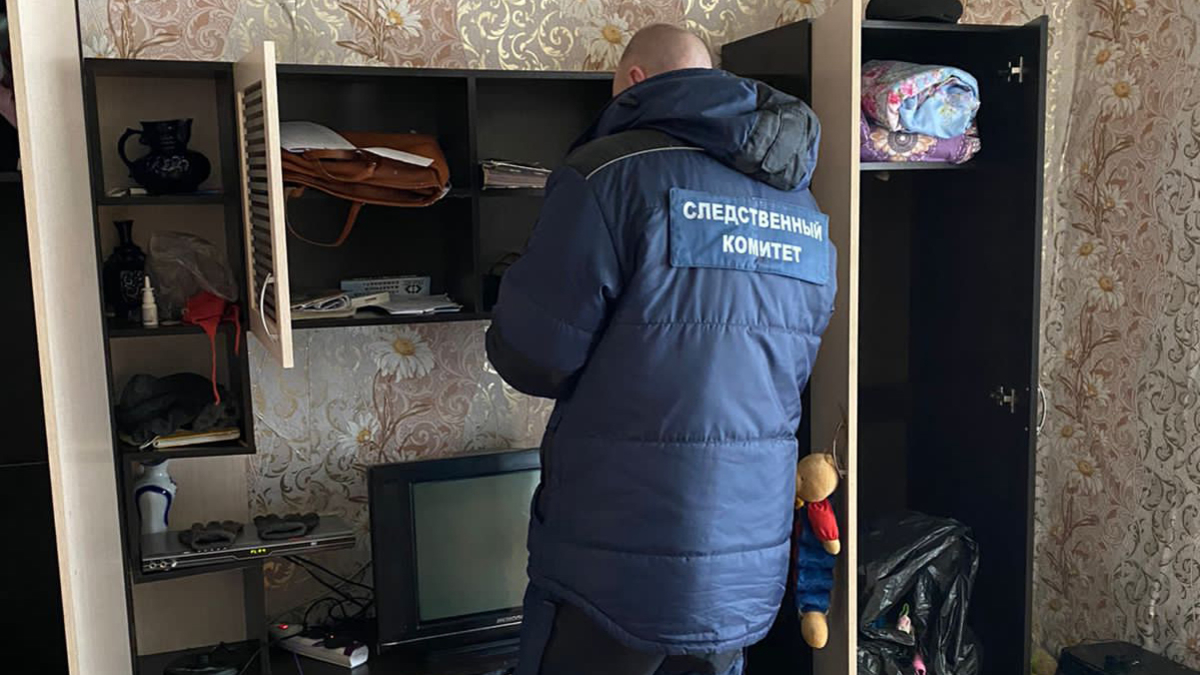 Фото: СУ СК по Новгородской области