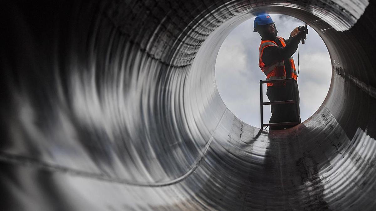 Фото: Patrick Pleul / dpa / ZB / Global Look Press