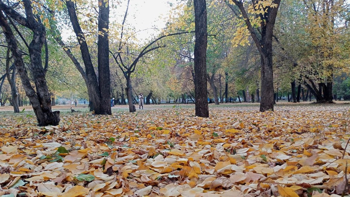 Фото: РБК Новосибирск