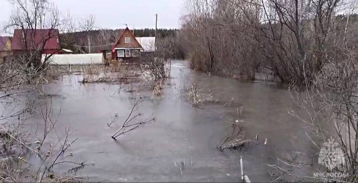 Фото: пресс-служба ГУ МЧС по Новосибирской области
