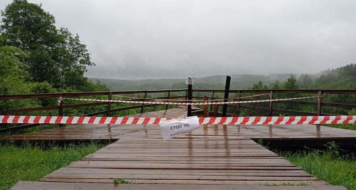 Фото: Алексей Соколов