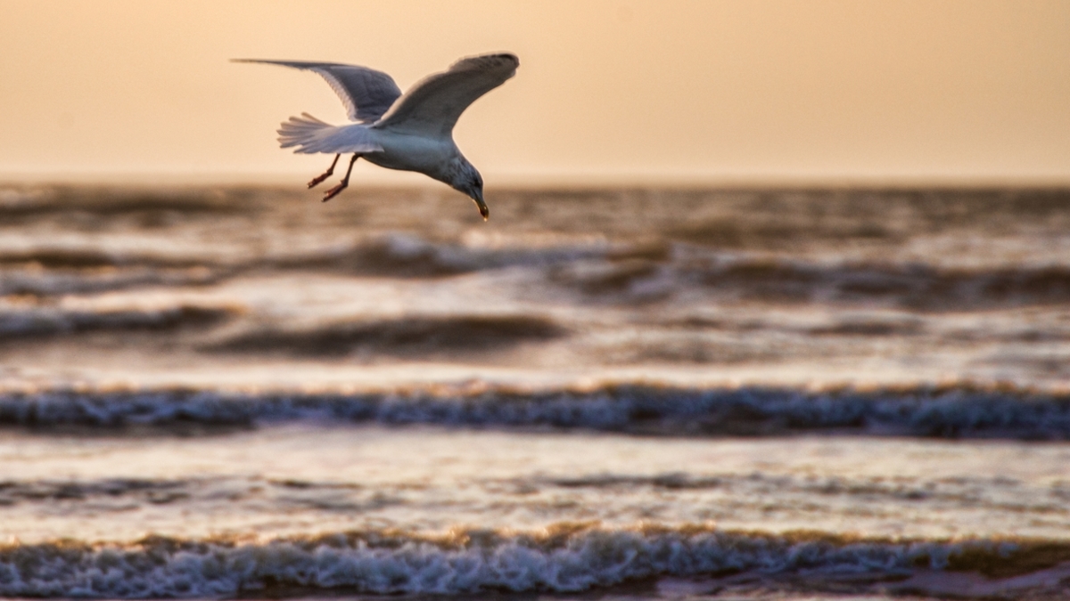 Фото: ru.freepik.com