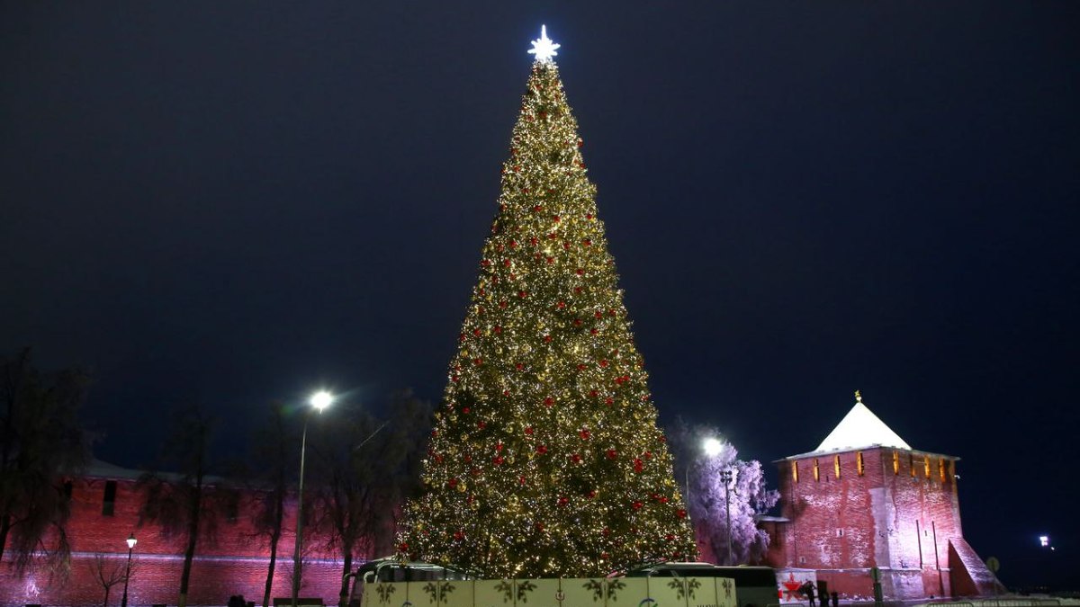 Фото: Кира Мишина