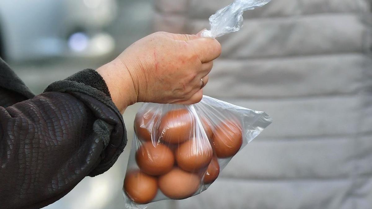 Росстат впервые с июня зафиксировал падение цен на яйца — РБК