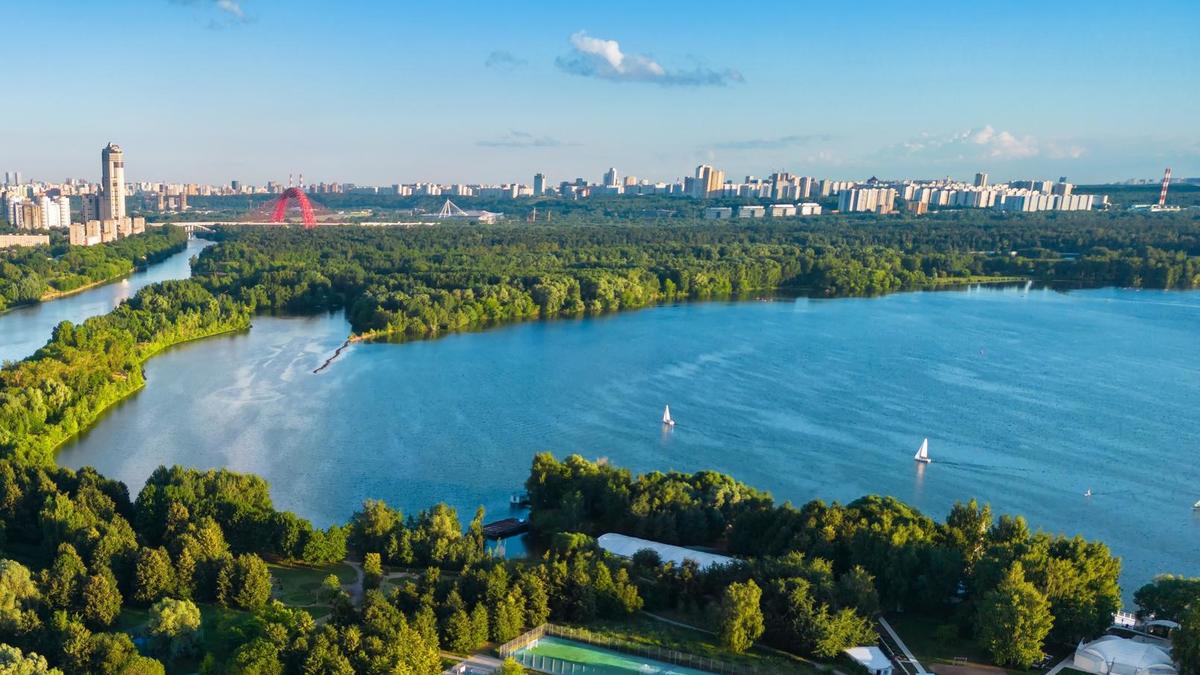 Больше воздуха: в Москве есть ЖК с нетипично низкой плотностью застройки ::  Город :: РБК Недвижимость