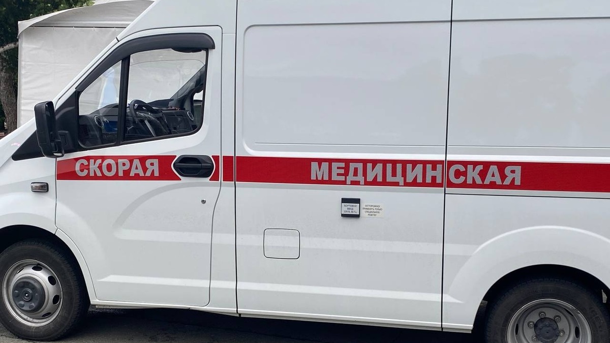 Фото: РБК Приморье