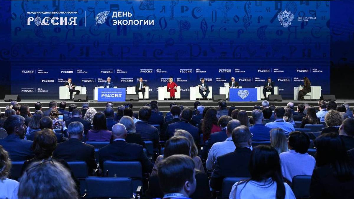 Фото: Телеграм-канал Глеба Никитина