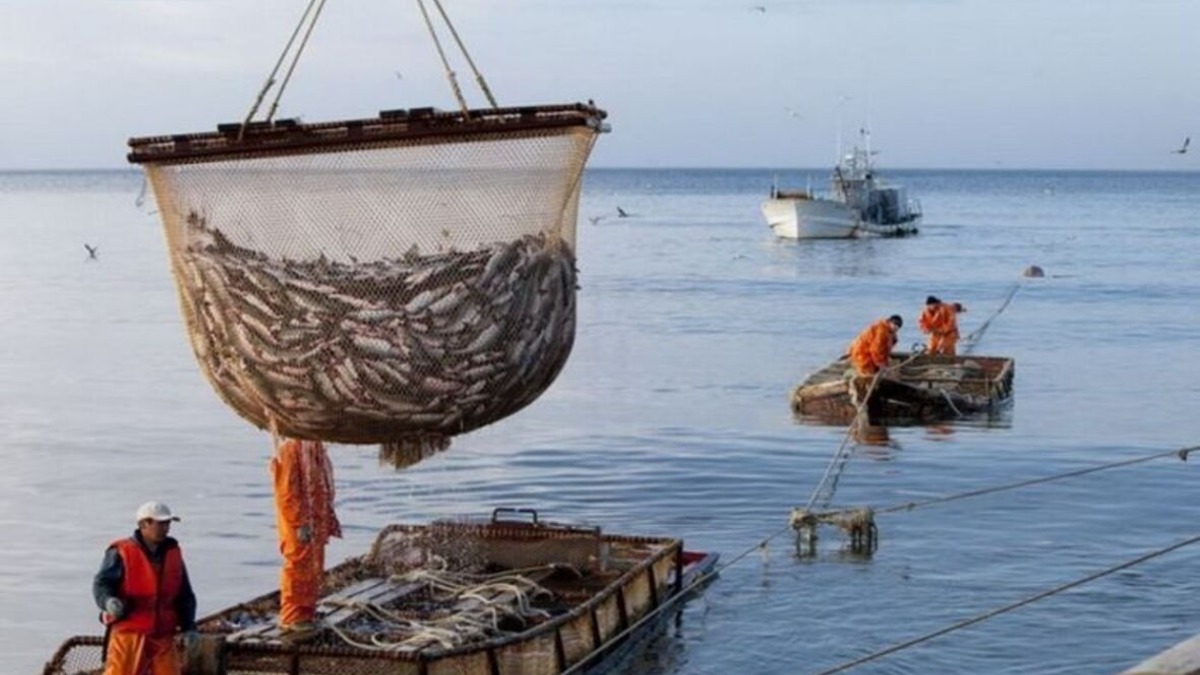 Фото: fish.gov.ru