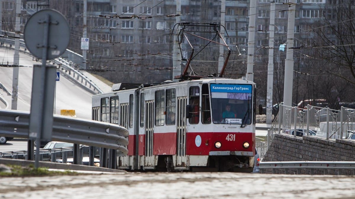 Фото: Александр Подгорчук