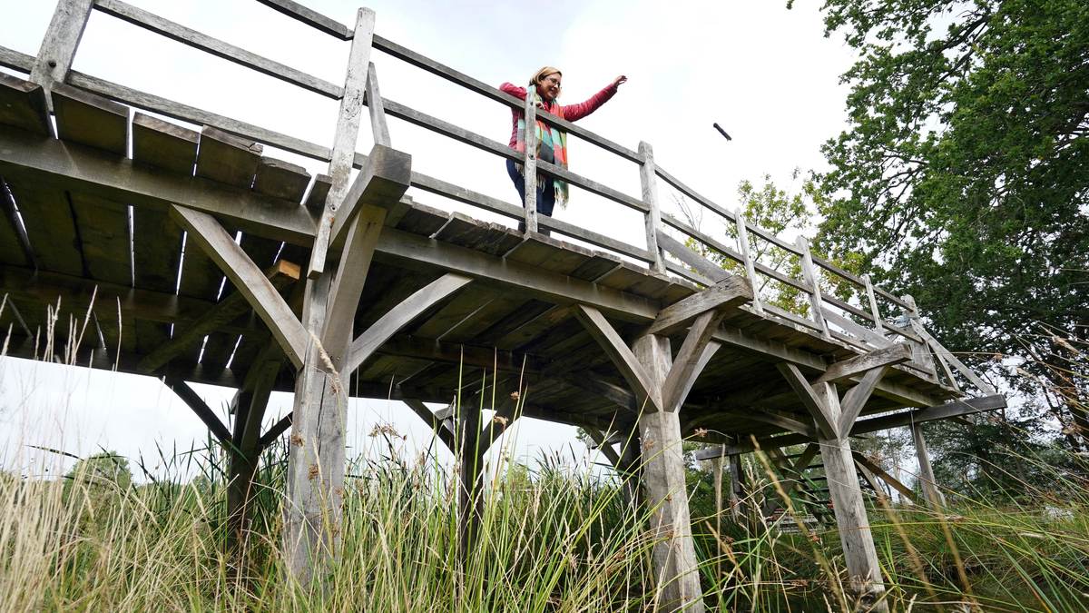 Фото: Gareth Fuller / PA Images / Getty Images