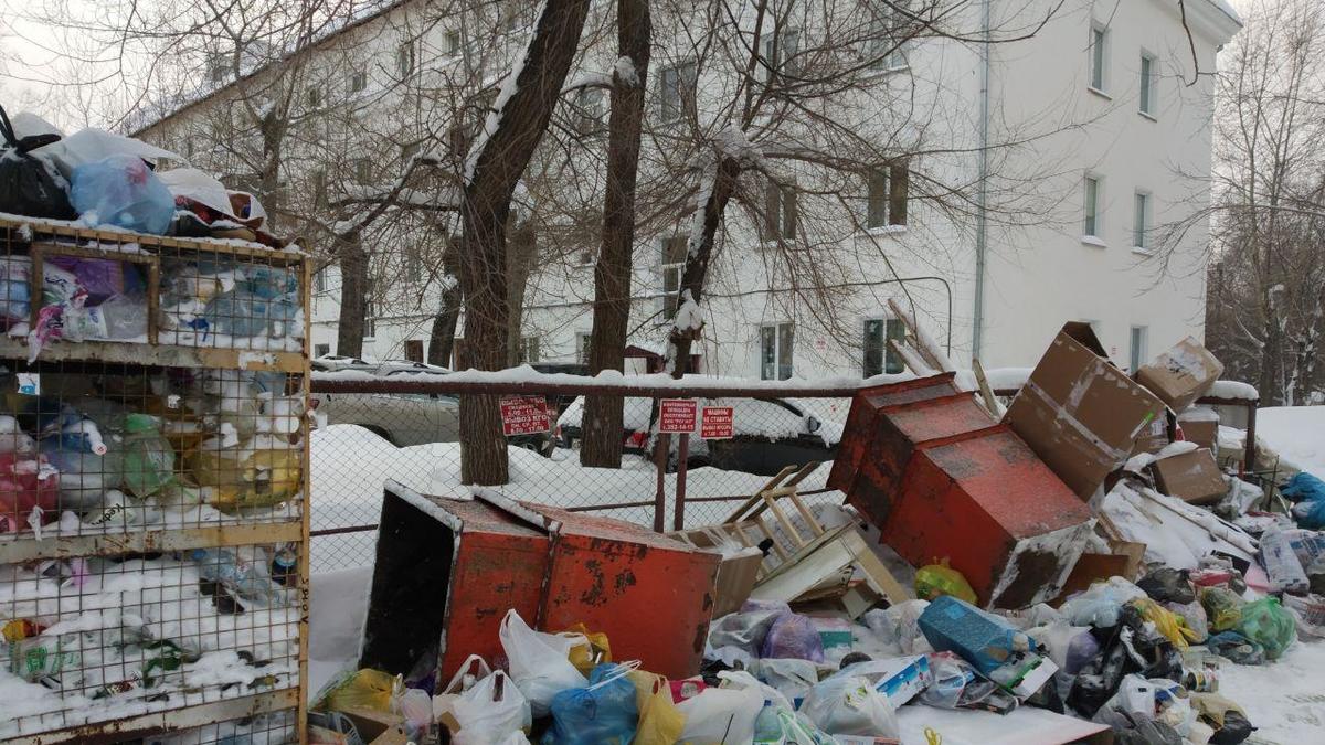 Фото: РБК Новосибирск