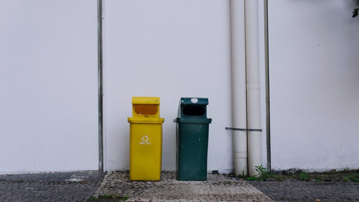 Фото: pexels.com