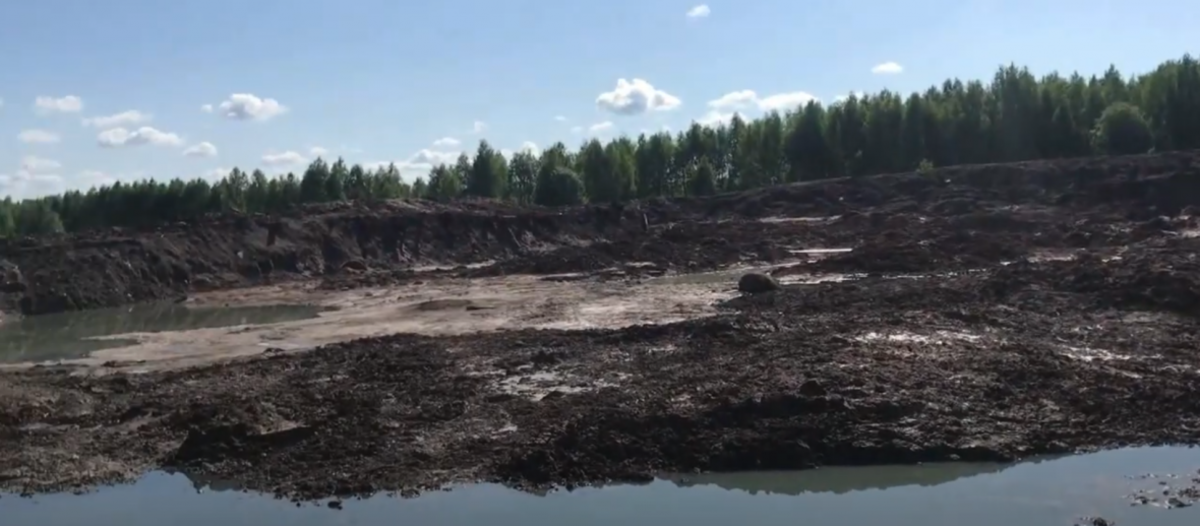 Фото: Альберт Халимов