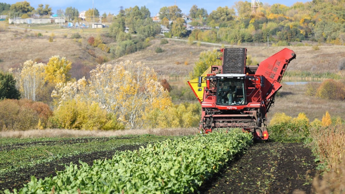 Фото: vesna-agro.ru