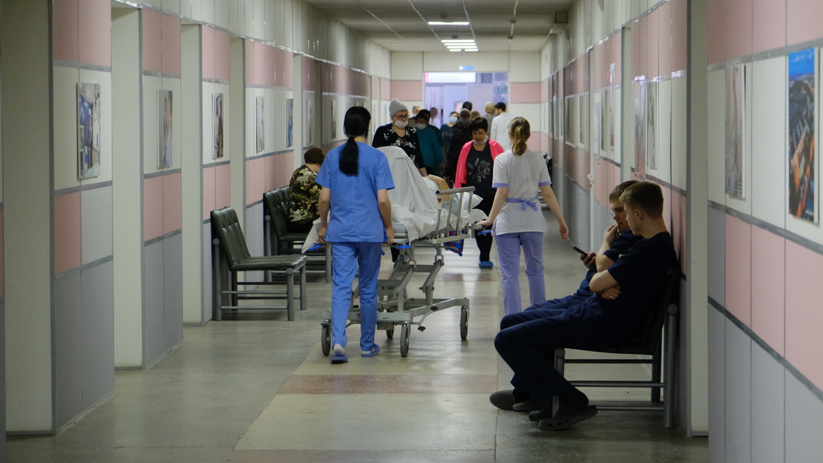 Фото: Пресс-служба правительства Новосибирской области