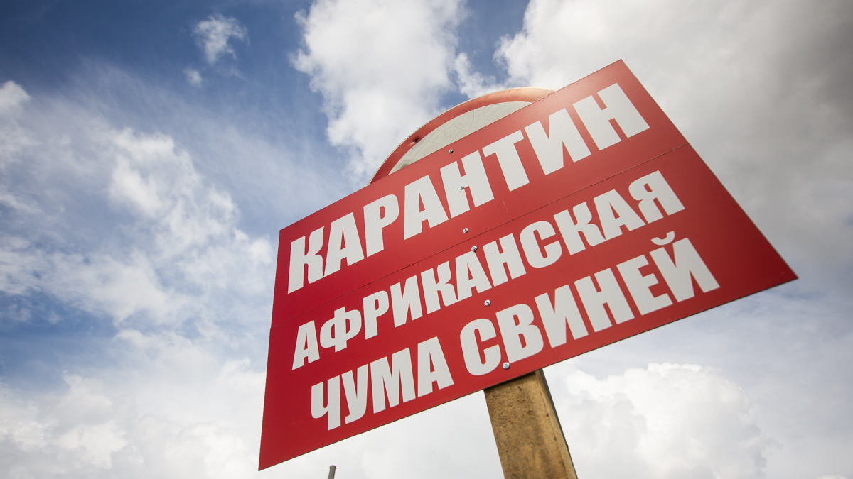 Фото: Александр Подгорчук