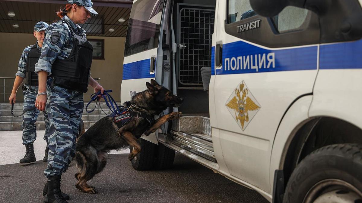 Фото: Сергей Булкин / NEWS.RU / Global Look Press